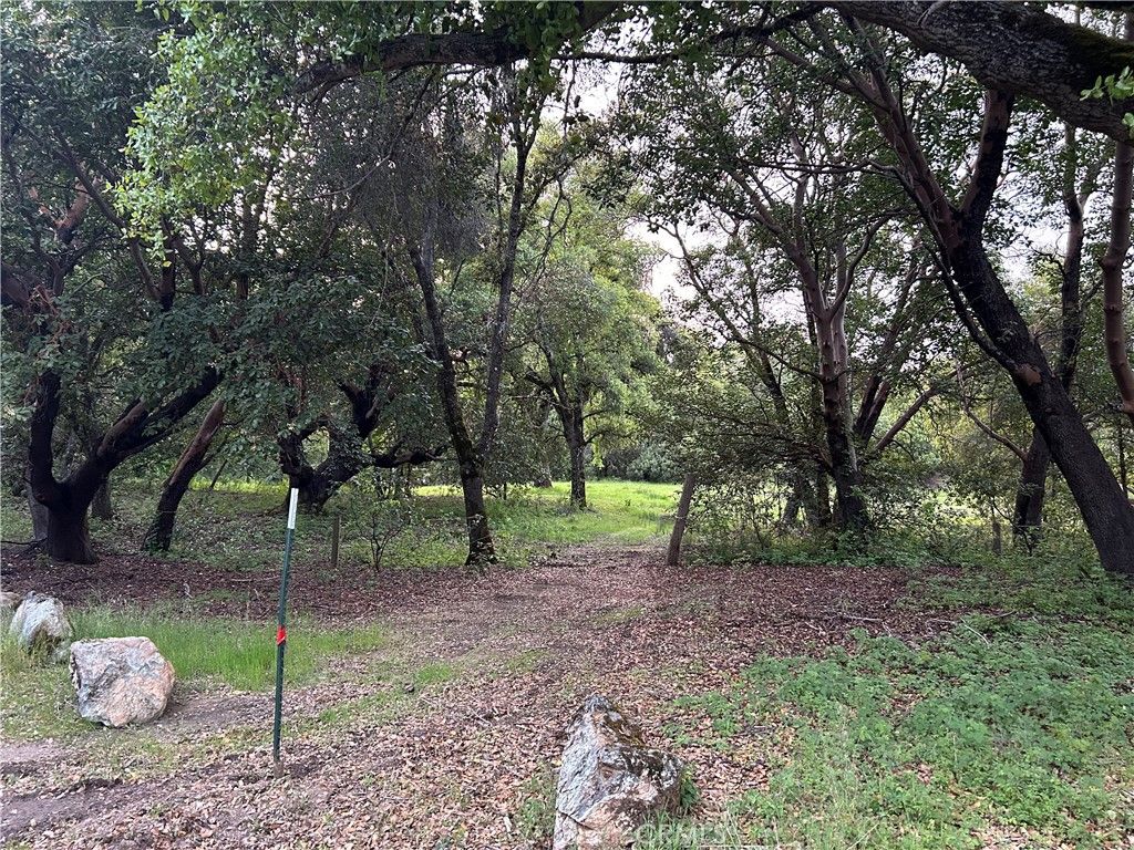 listing image 130721371483908139772