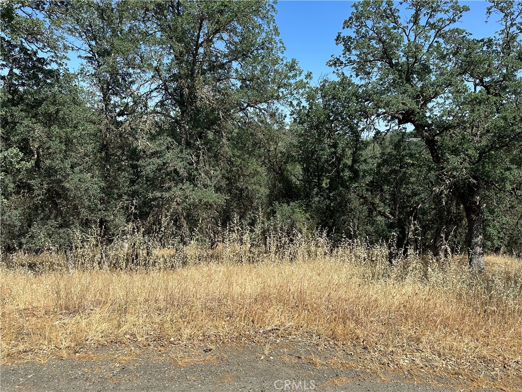 18051 Vista Point Court