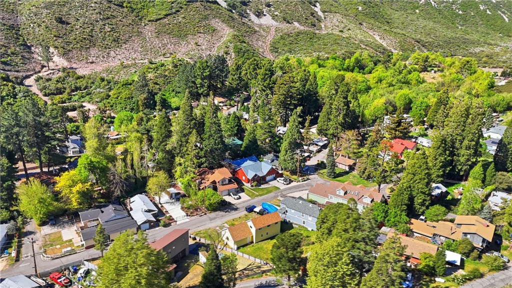 13894 Meadow