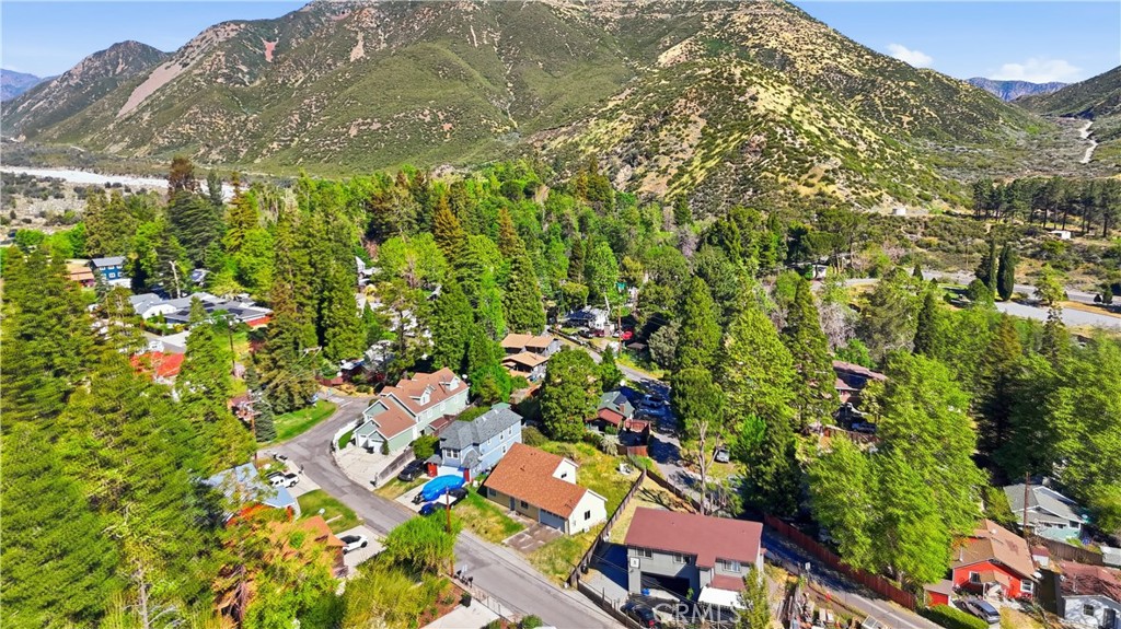 13894 Meadow