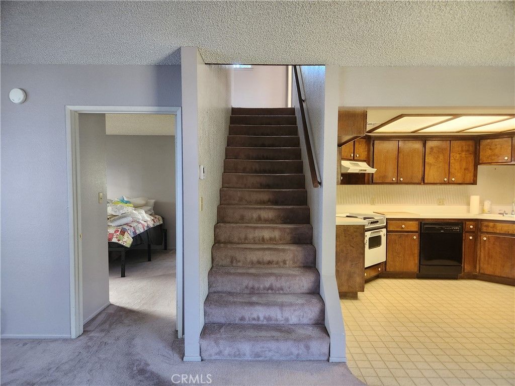 Photo of 13894 Meadow Ln, Lytle Creek, CA 92358 (MLS # IG26063351)