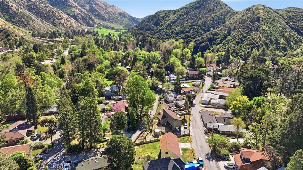 13894 Meadow