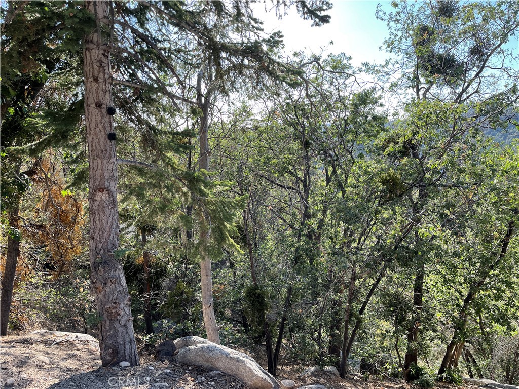 Arrowbear (AWBR) - Land