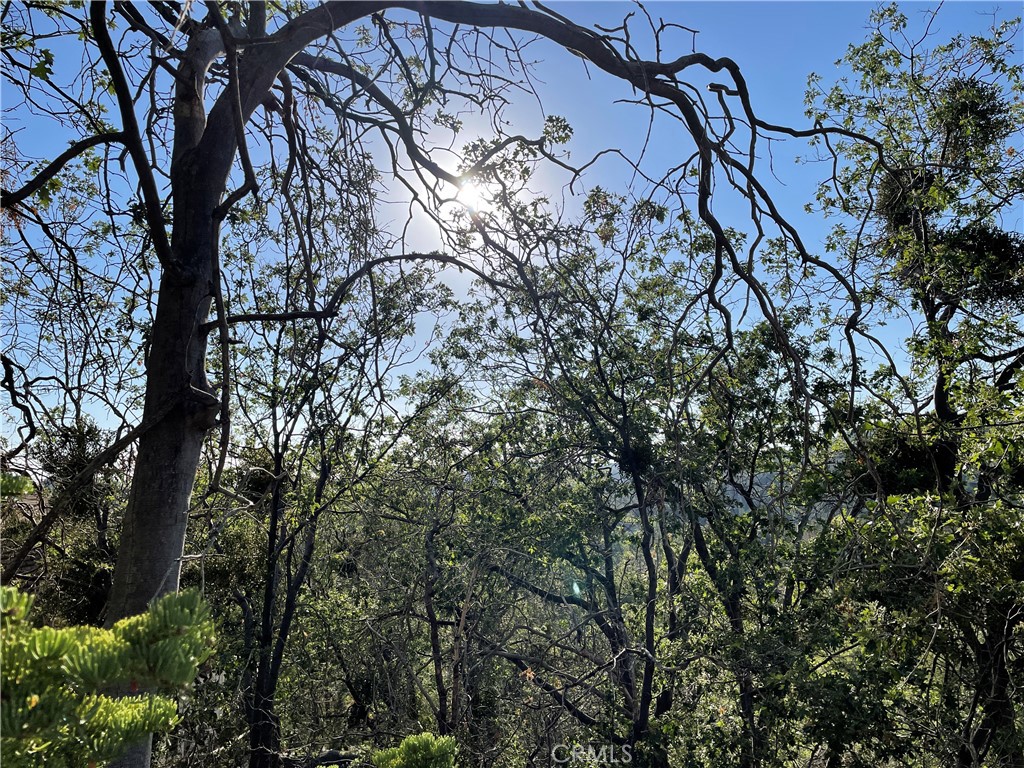 Arrowbear (AWBR) - Land