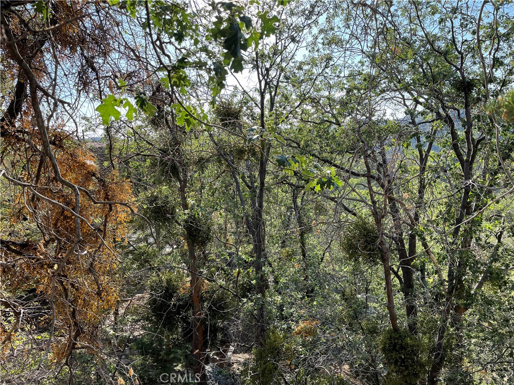 Arrowbear (AWBR) - Land