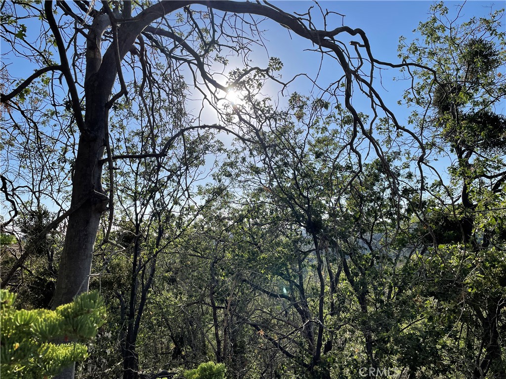 Arrowbear (AWBR) - Land