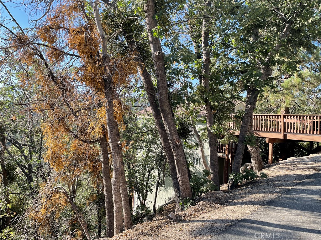 Arrowbear (AWBR) - Land