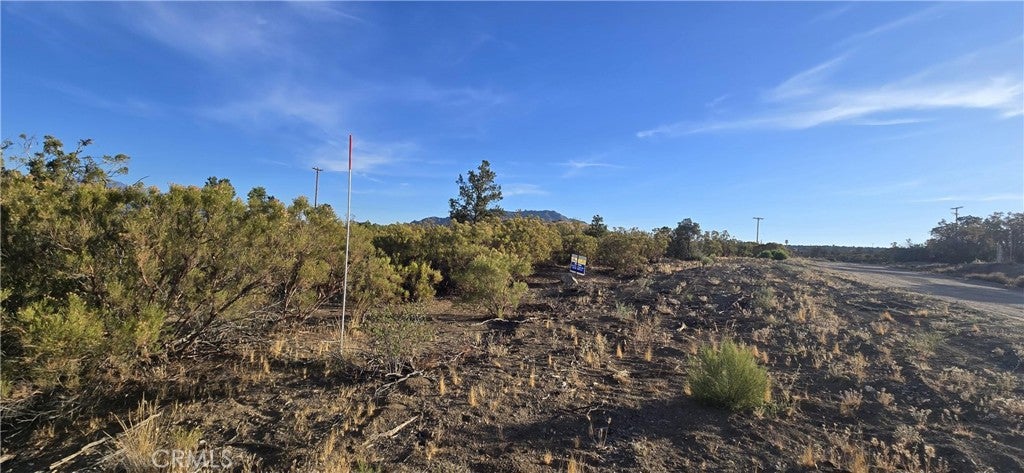 64001 Palm Canyon