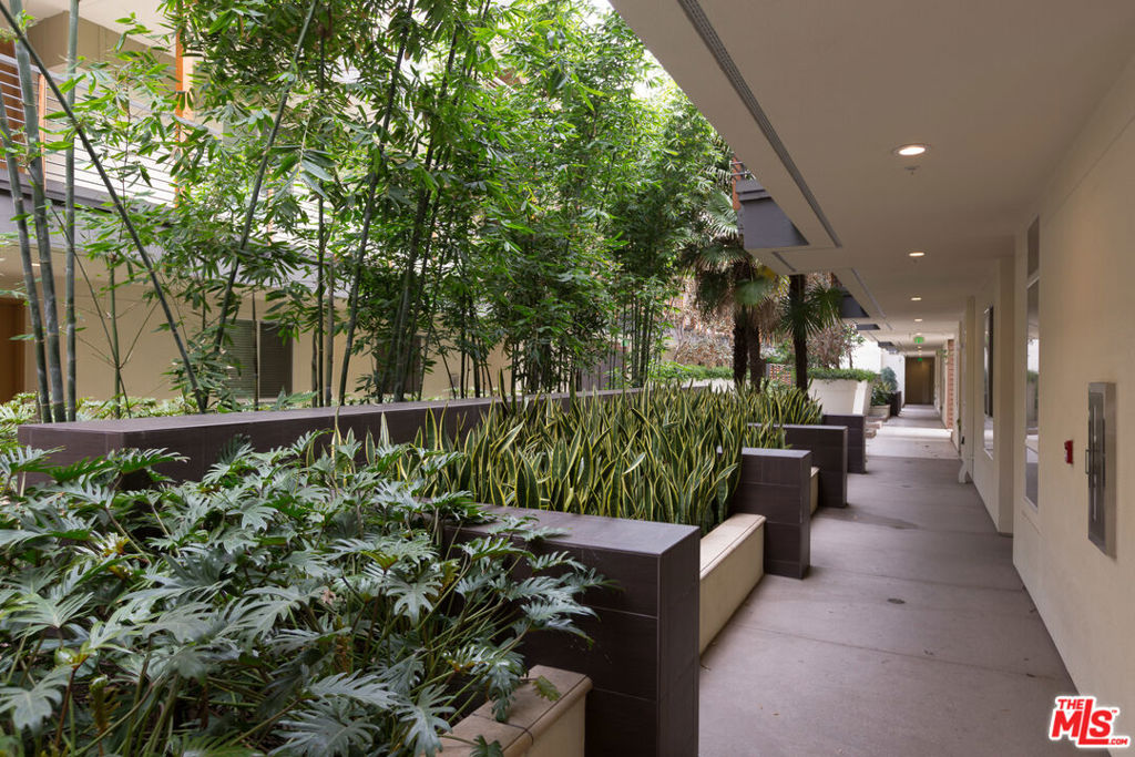 Primera Terra - Residential Lease