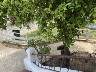 Tiny photo for 639 Jackson Street, San Jose, CA 95112 (MLS # ML82054902)