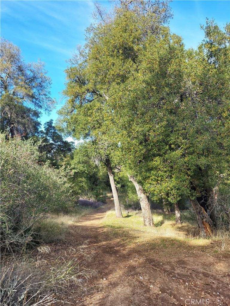 Warner Springs - Residential