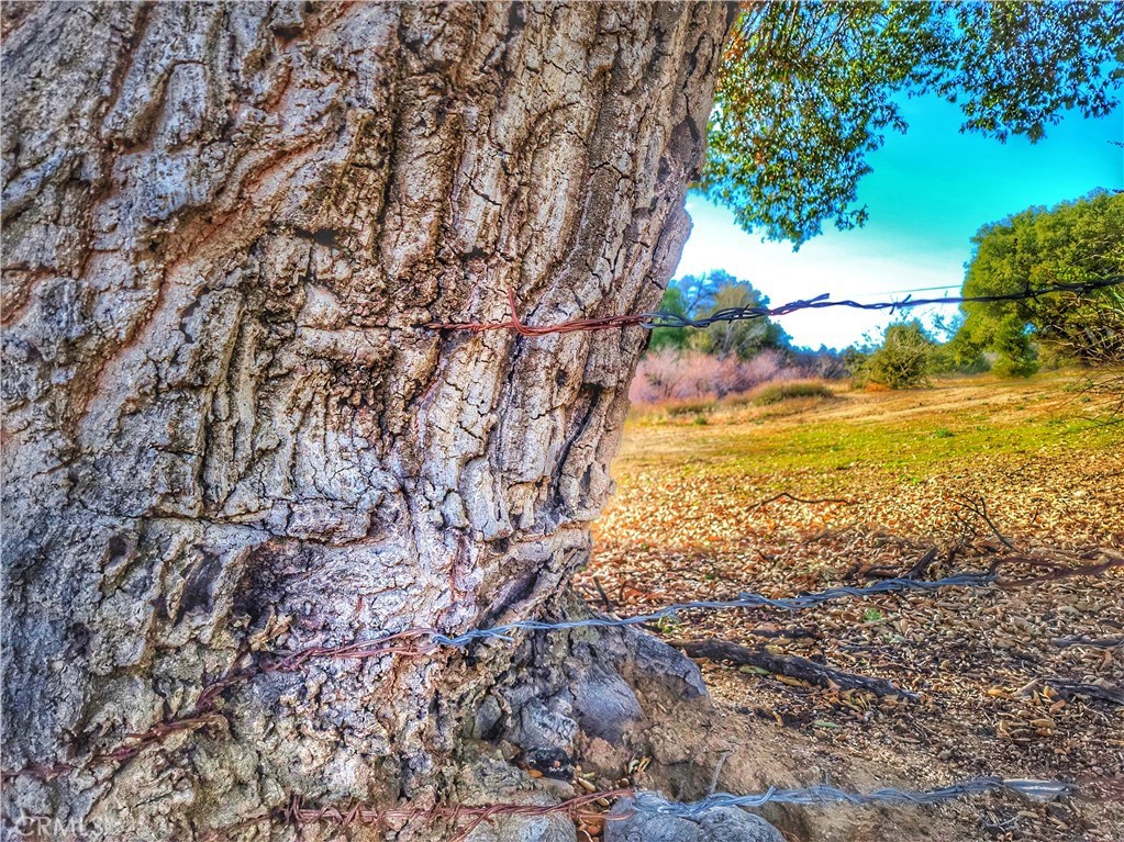 Warner Springs - Residential