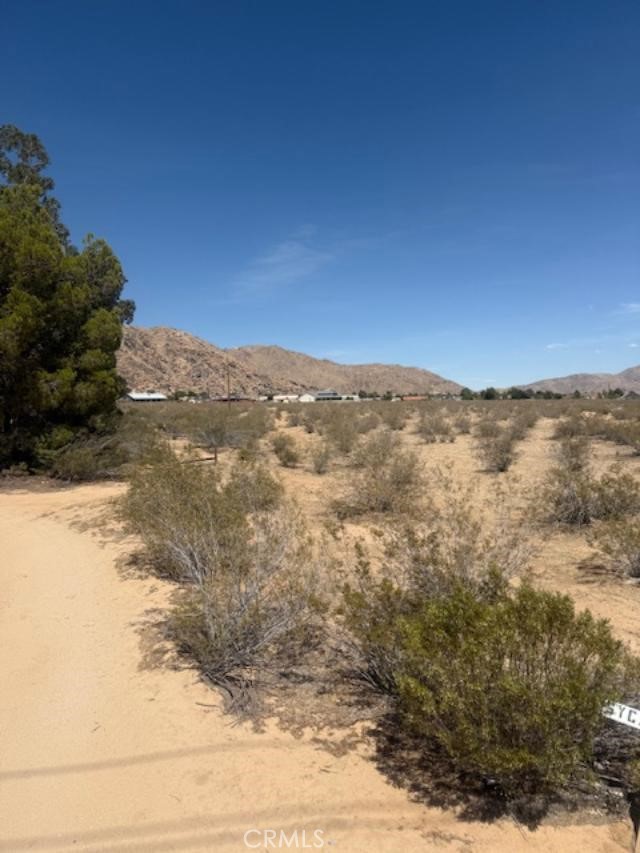 A wonder opportunity to build your future home. Plenty of room for your custom home. This land well located in a quiet area of Apple Valley, quickly expanding. Huge 2.05 Acres Lot (108,900). APN 0437-193-51-0000 and only 6 miles to 15 freeway, 10 minutes from major shopping center also close to restaurants and parks.
