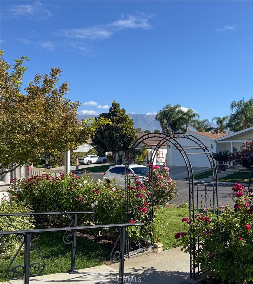 10961 Desert Lawn Drive 466