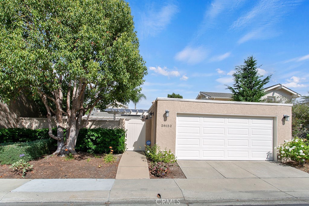 28152 Carpenteria