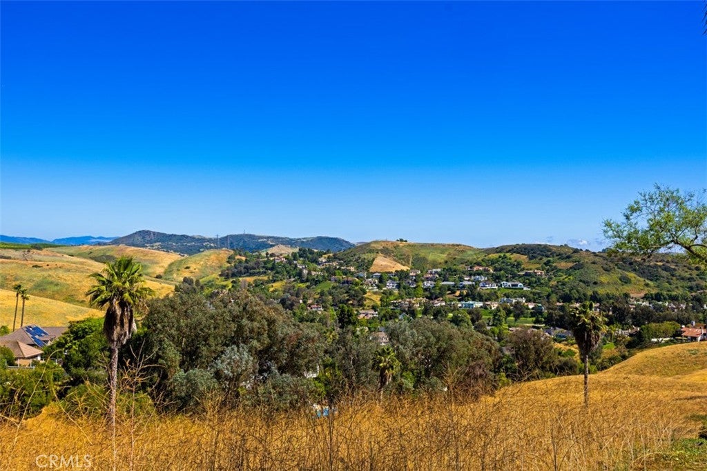 29902 Hillside Terrace, San Juan Capistrano CA 92675 - Photo 59