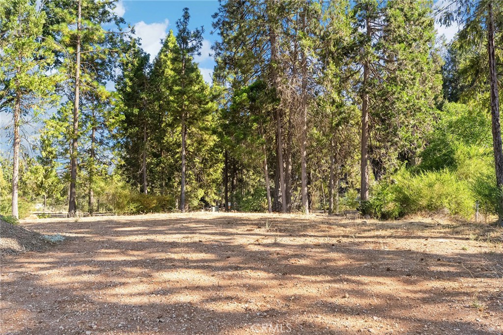 Welcome to your future home site in Paradise Pines! This beautiful .29-acre corner lot sits at Napa Ct. and Ventura Dr. in lower Magalia—making trips down the hill quick and convenient. The property is filled with mature trees untouched by the fire, creating a peaceful and natural setting for your dream build. The parcel already has power, water, APPROVED BUILDING PLANS, and a completed survey, giving you a head start on construction. Plans are in place for a thoughtfully designed 3-bedroom, 2-bathroom, 1,516 sq. ft. residence. As part of the Paradise Pines Property Owners Association, you’ll enjoy access to an incredible variety of amenities including tennis, pickleball, bocce ball and basketball courts, scenic walking and hiking trails, a children’s playground, horseshoe pits, picnic areas, an indoor game room, a free lending library, and even a weekend no-host bar with a pool table. Beyond the neighborhood, you’ll love being just minutes from local favorites like Holiday Market, Izzy’s Bar & Grill, and Hilltop Café. With natural beauty, modern conveniences, and community amenities, this lot offers the perfect place to bring your dream home to life.
