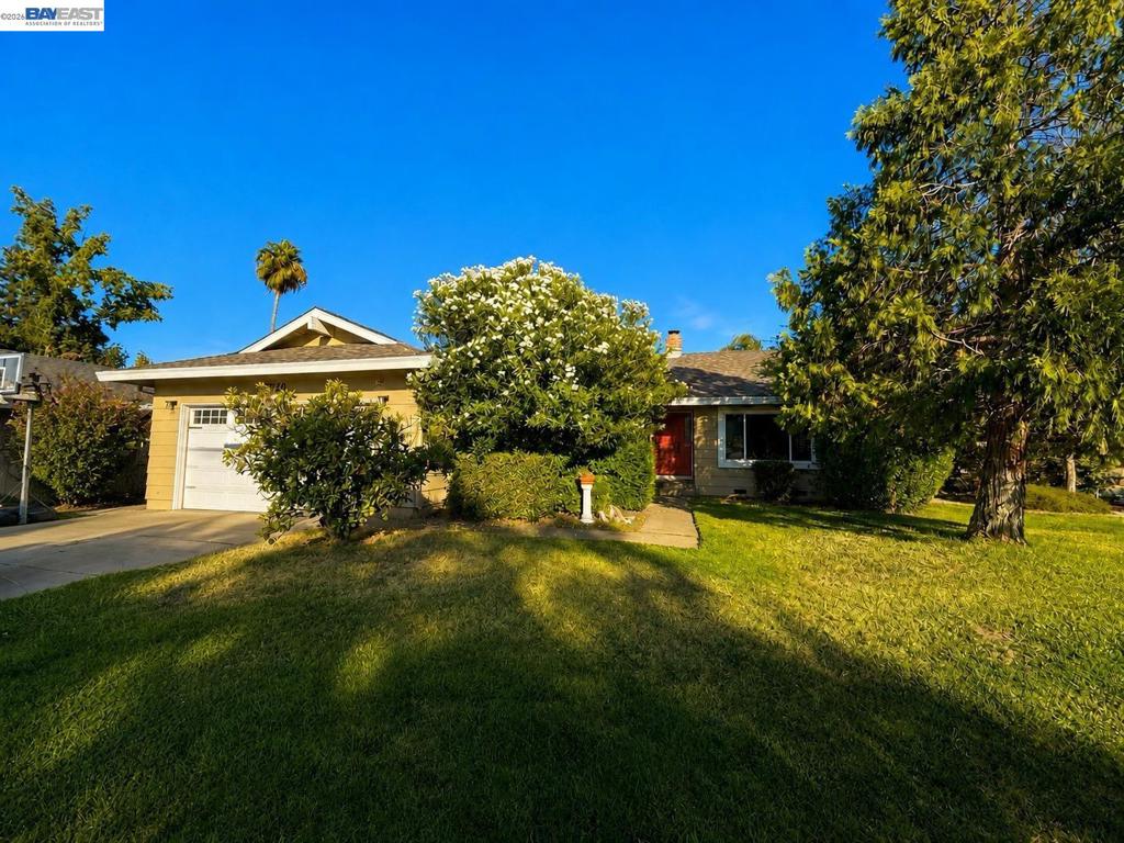 3120 Ozzie Court