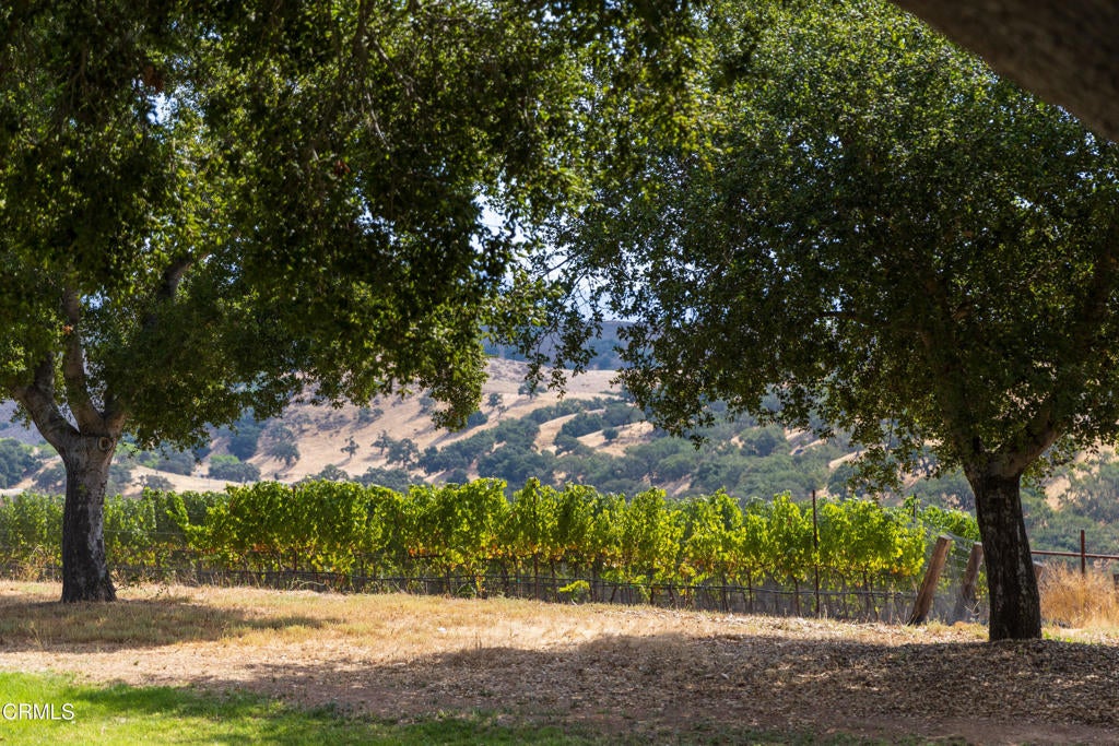 3001 Long Valley Road
