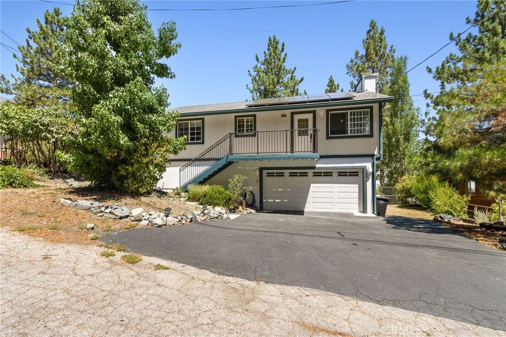 2054 Slippery Elm