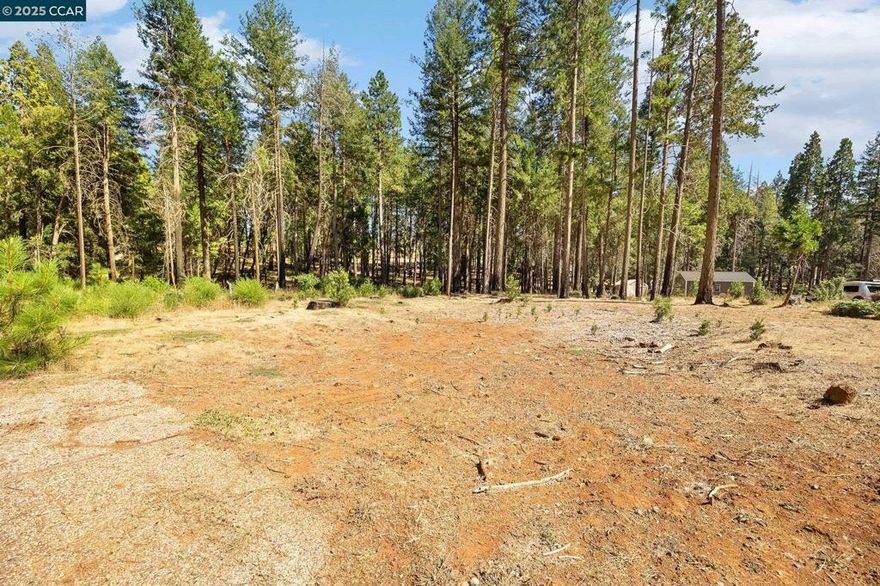 Build your dream home on this 0.32-acre lot in the heart of Magalia. Located in the Paradise Pines Property Association (PPOA), recently cleared and ready for your vision, this property backs to a peaceful greenbelt and is surrounded by mature trees. Enjoy community amenities like a pool, BBQ area, clubhouse, bocce ball courts, horseshoe pits, a game room and fun, year-round events. With a mix of pre-existing charming homes and new construction nearby, this is a great opportunity to be part of a welcoming neighborhood!