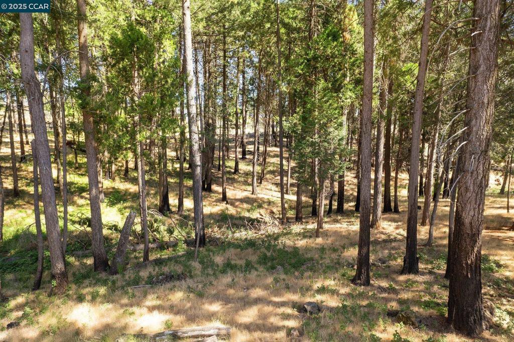 Not Listed - Land
