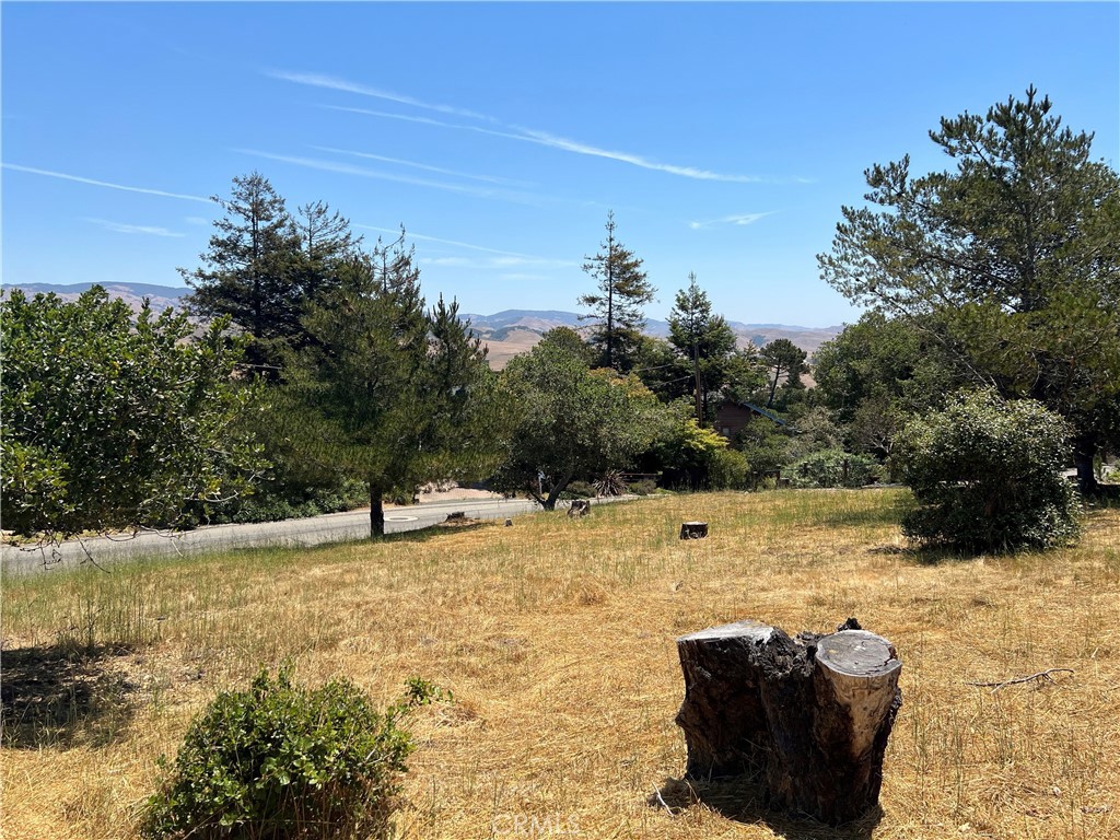 Top of the World(2170) - Land