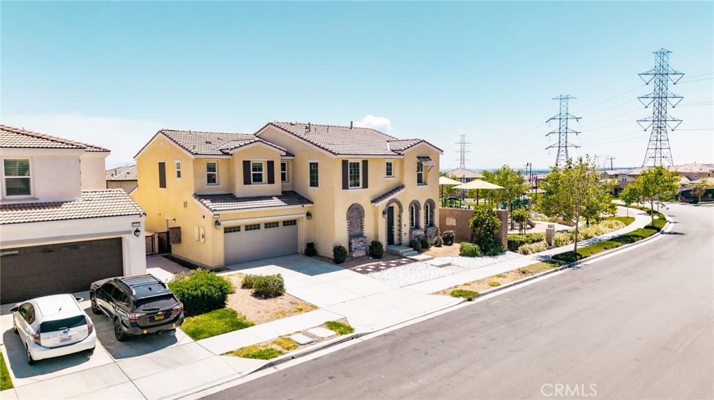 16243 Agave