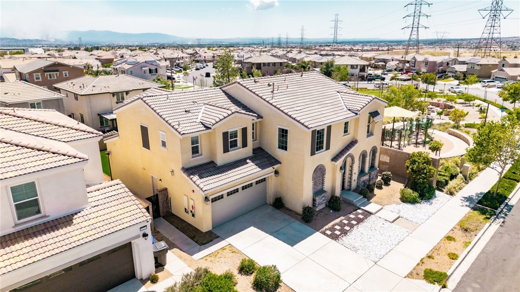 16243 Agave
