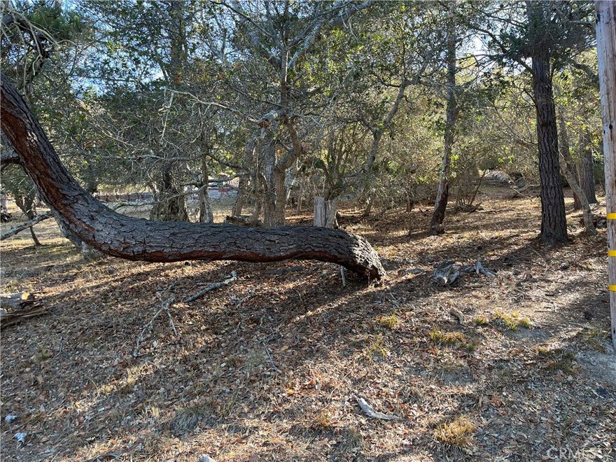 Street level lot within easy walking distance to the Fiscalini Ranch Preserve and multiple beach access points. Enjoy the cool ocean breeze, abundant wildlife, and small-town charm of this artistic beach village just south of Big Sur on Hiway 1. Buy and hold for now until the current building moratorium for new construction is lifted. Check CCSD and county websites (cambriacsd.org & slocounty.ca.gov) for info on the moratorium and allowable uses for property.