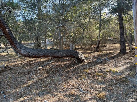 Photo of 1818 Tweed Avenue, Cambria, CA 93428 (MLS # SC25198719) Photo of 1818 Tweed Avenue, Cambria, CA 93428 (MLS # SC25198719)