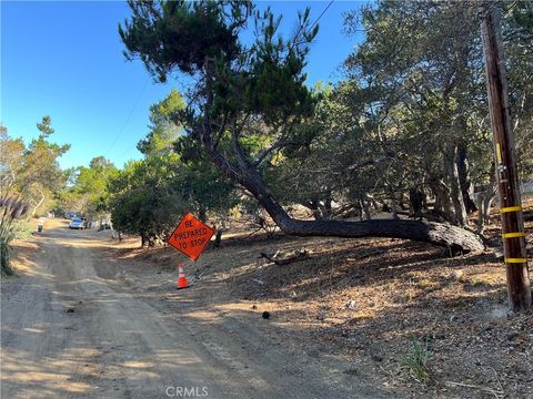 Tiny photo for 1818 Tweed Avenue, Cambria, CA 93428 (MLS # SC25198719)