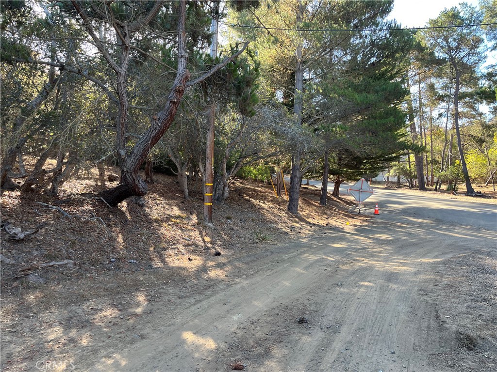 Lodge Hill(430) - Land