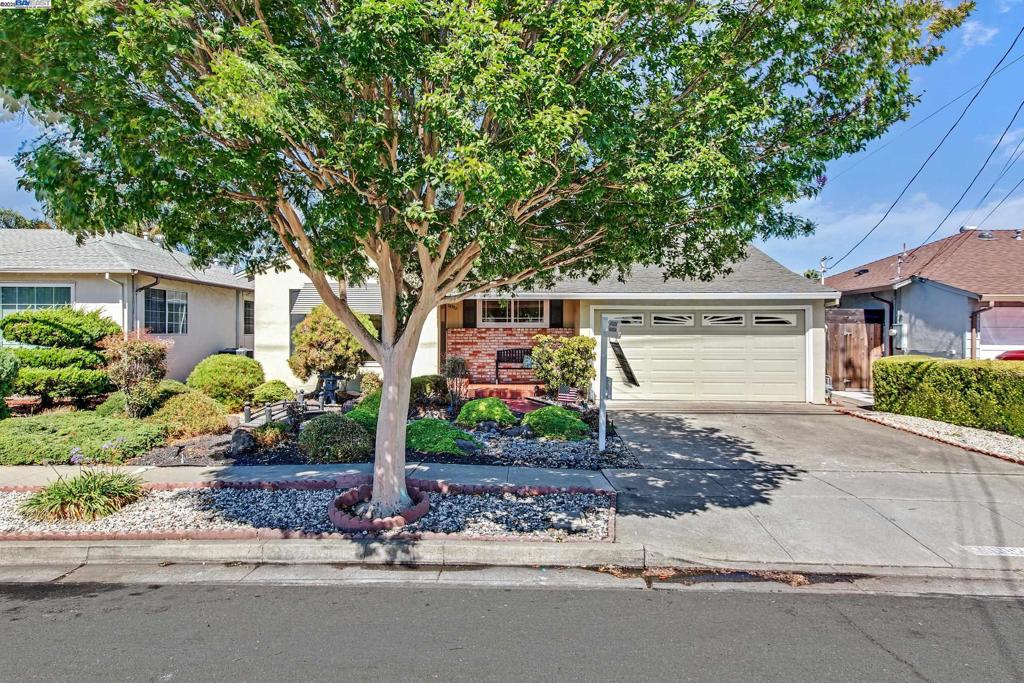 Welcome to a cherished family home, lovingly maintained and filled with decades of joyful memories. From the moment you arrive, the inviting front garden sets a warm and welcoming tone. Step into the expansive, landscaped backyard complete with fruit trees, offering a peaceful retreat and plenty of space to grow and gather. A standout feature is the spacious bonus patio room, once the heart of countless celebrations. It’s ideal for year-round entertaining or quiet relaxation. The expanded primary suite includes a full bathroom, providing added comfort and privacy. Inside, the home offers a wonderful blank canvas ready for your personal touch and creative vision. With solid bones and endless potential, this well-loved home is ready for its next chapter. Come see it for yourself and imagine the possibilities! Minutes to freeway entrances, shopping centers, biking marina trails, Alameda city and so much more!