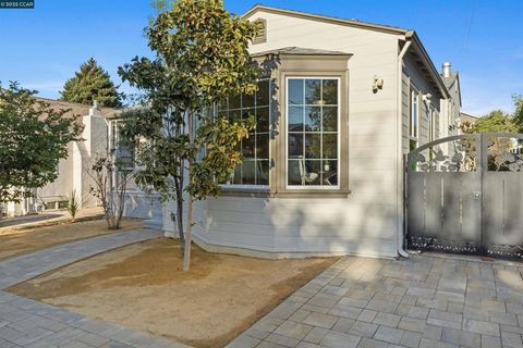 Photo of 1029 Pomona Ave Ave, Albany, CA 94706 (MLS # 41115189)