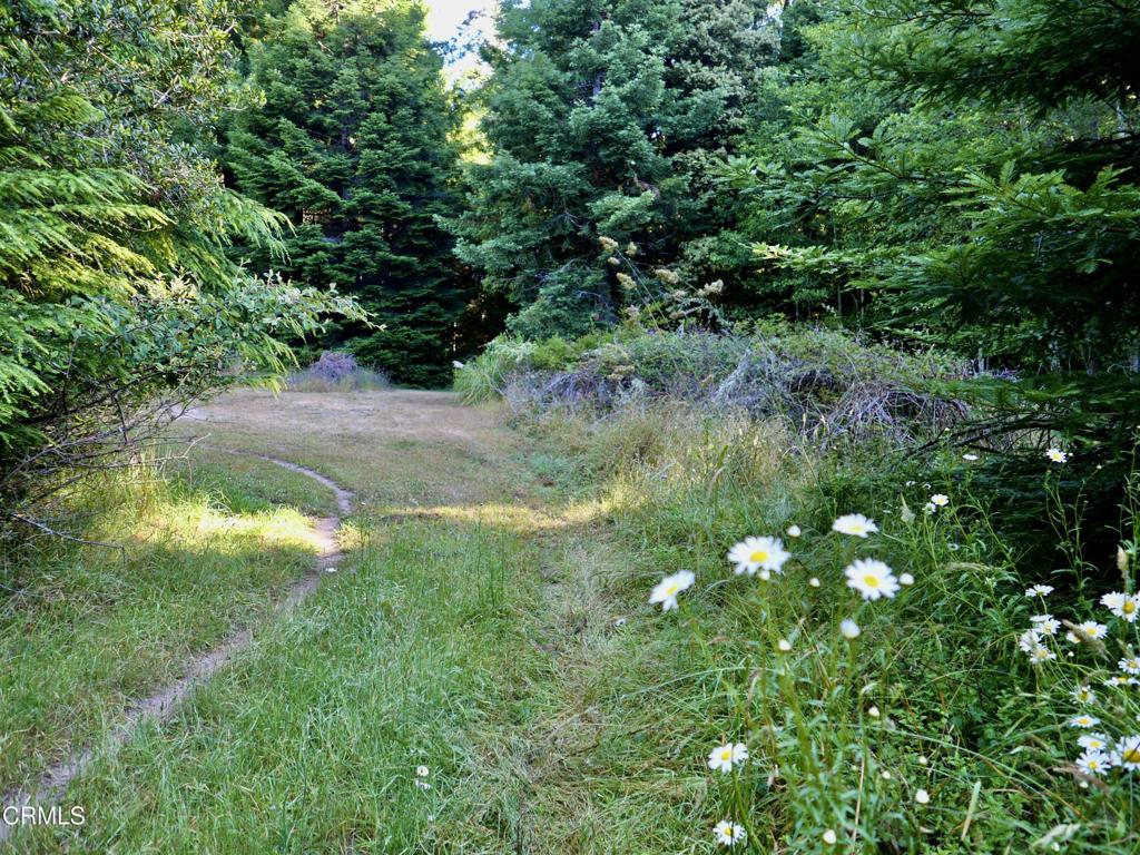 19130 Dorffi Road