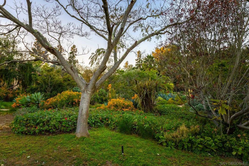 Rancho Santa Fe - Residential