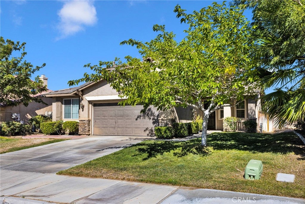 15033 Henderson