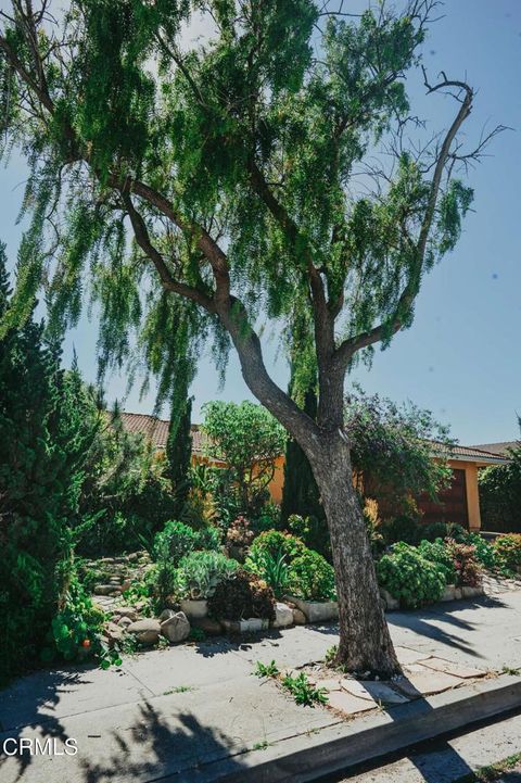 Tiny photo for 7314 Wallaby Street, Ventura, CA 93003 (MLS # V1-35064)