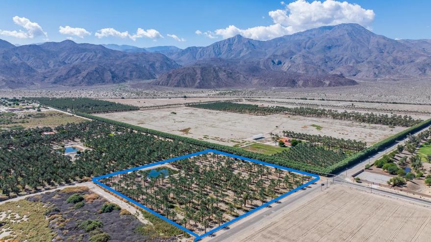 Looking for a clean, well located, income producing, organic date farm that's not enormous? Here it is; Alexandra Dates, featuring approx. 374 producing Medjools, and approx. 118 shoots.  Fenced, and irrigated with a reservoir filled with CVWD No MHSCP, No Williamson Act, Sewer in Monroe Street and electric to site.  (Buyer to verify)  Zoned A1-10.  A straight drive East on Avenue 62 to the Thermal Club, HITS showgrounds, and Jacqueline Cochran airport.  Head directly North to Trilogy, The Palms, Eldorado Polo Club, Music Festival grounds and central La Quinta.  Beautiful farm, great location, P & L's available upon request.