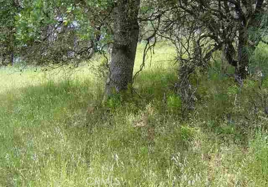 This beautiful parcel of land is secluded with amazing views and nature all around. Wonderful spot to build your dream mountain retreat!