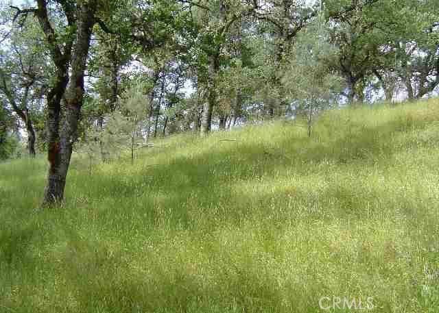 15709 Cache Creek Road