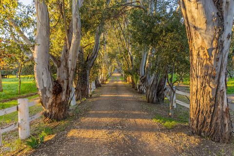 Tiny photo for 1519 Ayers Avenue, Ojai, CA 93023 (MLS # V1-34887)