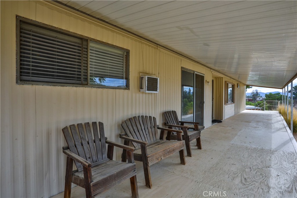 28261 Red Gum