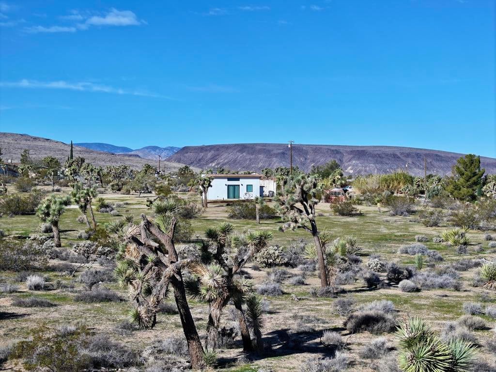 4039 Greasewood Lane
