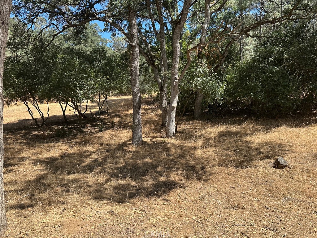 This large lot spans over 1.5 acres and is ideally located close to the lake, offering stunning lake views. With easy access to Highway 20, it's a fantastic opportunity you won't want to miss. The area is rich in amenities, including fishing, boating, live music, wineries, and vibrant community events.
