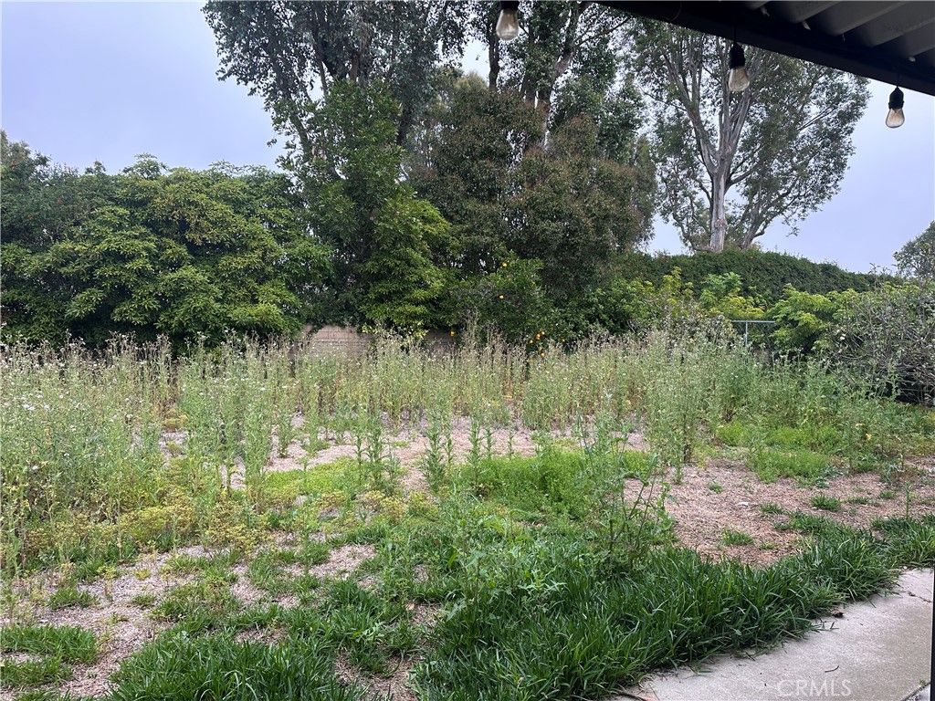 Photo of 25611 Via Inez Rd, San Juan Capistrano, CA 92675 (MLS # OC26062991)