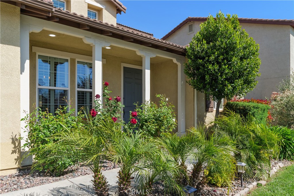 34534 Spindle Tree Street