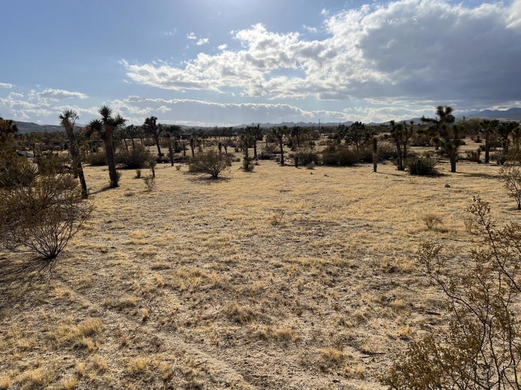 Not Applicable-1 - Land