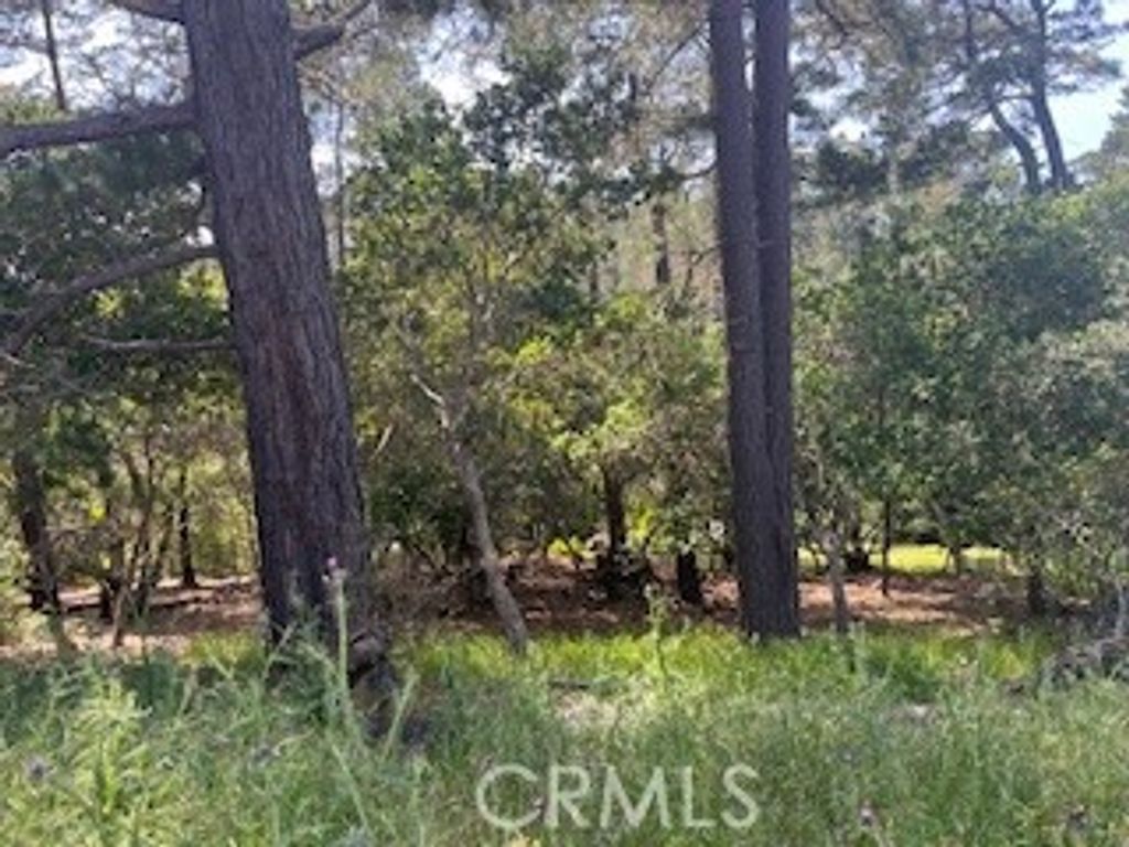 listing image 130722997501137159435
